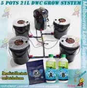 Hydroponics 5 Pots 27L DWC System Great White Mycorrhizae NF Grow Nutrients A&B