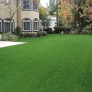 Fake Grass Turf, Synthetic Artificial Grass Mat, Indoor Outdoor Garden Lawn, Landscape Turf, for Pets, Patio, Turf Mat, Home Wedding Decor, with Drainage Holes, Thicken, Dark Green