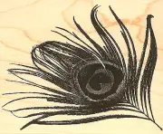 Peacock Feather Large Wood Mounted Rubber Stamp Impression Obsession NEW