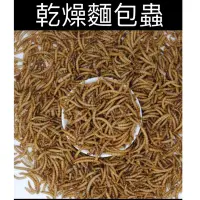 在飛比找蝦皮購物優惠-「動力水族」乾燥麵包蟲 麵包蟲乾 大麥蟲乾 蠅蛆 南極蝦乾 