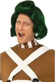 Adults Willy Wonka & The Chocolate Factory Oompa Loompa Wig