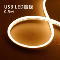 在飛比找Yahoo!奇摩拍賣優惠-【大山野營】附收納袋 DS-524 USB LED燈條 0.