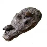 CrocTurtle Island Reptile Decoration by Exo Terra