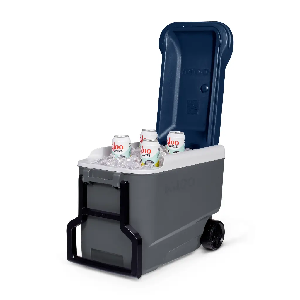 Igloo冰桶maxcold的優惠比較- 2025年10月|飛比價格