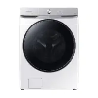在飛比找Yahoo!奇摩拍賣優惠-SAMSUNG三星 17KG 蒸洗脫烘 AI衣管家滾筒式洗衣