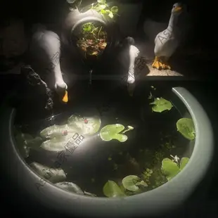 陶瓷開口流水罐古法養魚種水培綠植魚缸配件庭院花園陽臺造景擺件Asuna家優品