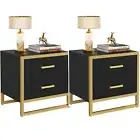 Set of 2 Nightstand Bedroom Bedside Table End Side Table with 2 Drawers Storage