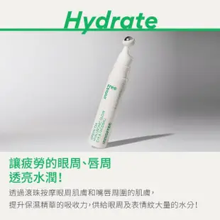 【INNISFREE】綠茶籽保濕滾珠眼部精華 10ml(冰珠眼霜)