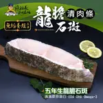 【蘇班長安心石斑】龍膽清肉條600G (業界唯一場域通過清真認證 膠質豐富 給你滿滿膠原蛋白)