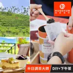 【HUGOSUM和森林】單人DIY體驗+下午茶點心乙份★半日調茶大師日月潭在地好茶(享樂券-預約制2人成團)