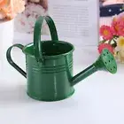 Handle Kettle Simple Spray Water Candy-colored Mini Plant Pot Kettle Candy Color