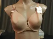 Beige BERLEI SWEATER TEE SHIRT Bra BNWT Size 16D
