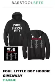 BRAND NEW Carhartt Barstool Foul Little Boy Hoodie (Chicago White Sox)