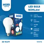 HORI LED 燈泡 30W 白色燈泡