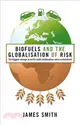 Biofuels and the Globalization of Risk: The Biggest Change in North-South Relationships Since Colonialism?