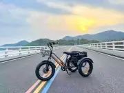 TDR Electric Tricycle Moutain Etrike 750w Bafang Motor 18.2AH Lithium Battery