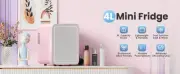 Skincare Fridge With Dimmable LED Light Mirror 4L Makeup Mini Fridge Bedroom Car