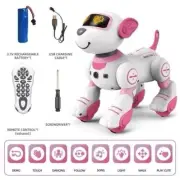 NEW Pink Kids Smart Dancing Stunt Intelligent Robot Dog Remote Control Toy Gift