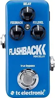 TC Electronic Flashback Mini