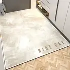 Area Mat Non-slip Decorate Quick Drying Doorway Rug Soft Texture