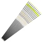 Archery Carbon Arrows Shaft Pin Nock Points Recurve Bow 12pcs