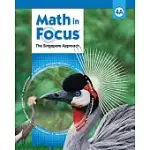 MATH IN FOCUS GRADE 4