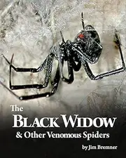 The Black Widow & Other Venomous Spiders