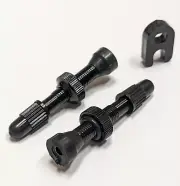 1 Pair MTB Tubeless Presta Valve. QUICK USA Seller! mountain bike valves stem