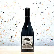 2022 Place of Changing Winds Between Two Mountains Pinot Noir - Buy Online | The Wine Collective Marketplace