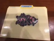 Something to Crow About! ABC order 2nd grade language arts file folder game