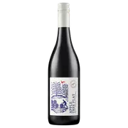 2021 Logan Apple Tree Flat Mudgee Shiraz | The Wine Collective Marketplace