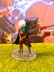 Shakaste Guests of Critical Role D&D Miniature Nein human druid ranger wizard Z