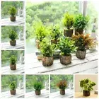 Realistic Simulation Plants Green Plants Decoration Garden Home Decoration