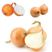 Onion - Extra Early Creamgold seeds