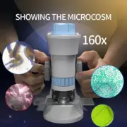 Mini Pocket Microscope Kit 40X-160X Handheld Microscope Light with LED AU NEW~