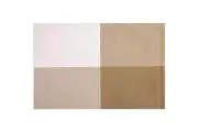 100% Genuine! Set of 6 Wilkie Brothers Nylon Placemats 30x45cm Roxburgh Beige!