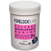 Helen seward forelock blank beaker bleaching powder 650 gr