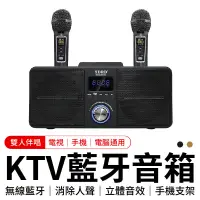 在飛比找蝦皮商城優惠-雙人無線KTV SD309 藍芽麥克風 藍牙喇叭 藍芽喇叭 