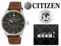 在飛比找Yahoo!奇摩拍賣優惠-【威哥本舖】星辰CITIZEN全新原廠貨 AW1360-12