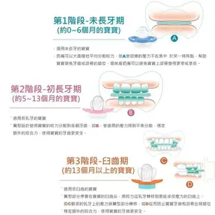 德國 nip 齒科專用奶嘴 牙仙子 蝶型奶嘴 粉彩系列 123階段 矽膠 安撫奶嘴 3591