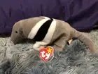 Ant-1997 Beanie Baby RARE With Tag Errors