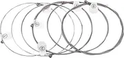 Electric Guitar Strings Hexagon Alloy Wire Nickel Wound Bright Corrosion 6 Strings Set (.009-.042) Light Special Silver 009-042