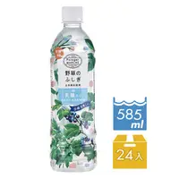 在飛比找PChome商店街優惠-【菠啾花園】菠啾乳酸野草水585mlx24瓶/箱