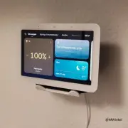 Google Nest Hub or Hub Max Wall Mount