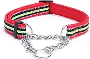 Dog Collar Stainless Steel Chain Adjustable Training Dog Collar for Small Medium Large Dogs (Red, L)