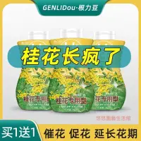 在飛比找蝦皮購物優惠-🌈【悠悠園藝】【買一送一】桂花樹肥料 桂花專用肥 四季桂 月