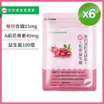 【UDR】UDR專利濃粹蔓越莓+鐵+私密益生菌 X6袋（30顆/袋）