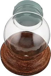 Ciieeo Snow Globe Kit Round Clear Glass Dome Empty Display Cloche with Solid Wood Base Snow Globe Frame Decorative Glass Spheres Decoration