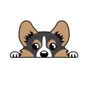 Tricolor Pembroke Welsh Corgi Sticker