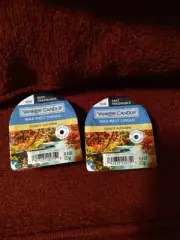 Yankee Candle 2 SUNLIT AUTUMN Single Wax Melts.